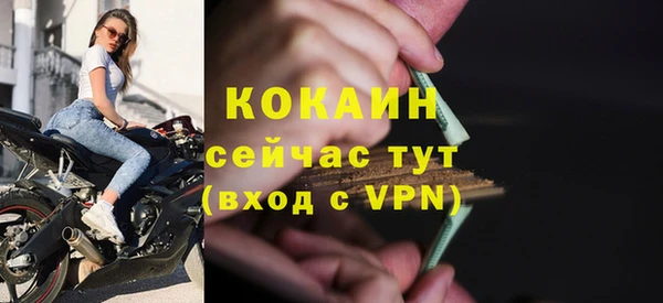 гидра Елабуга