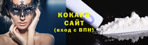гидра Елабуга