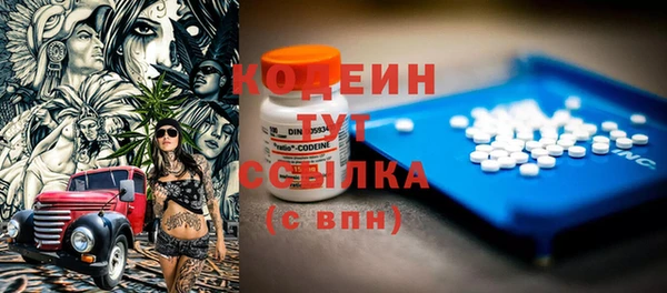 гидра Елабуга