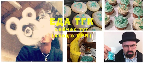 гидра Елабуга