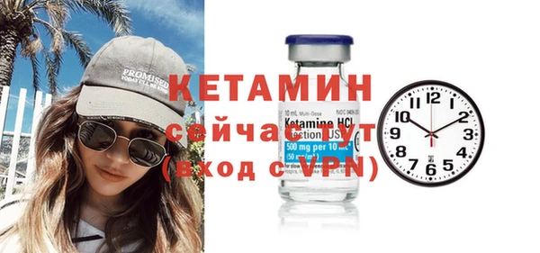 гидра Елабуга