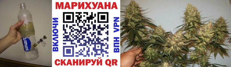 закладка  Новоалтайск  Бошки марихуана VHQ 
